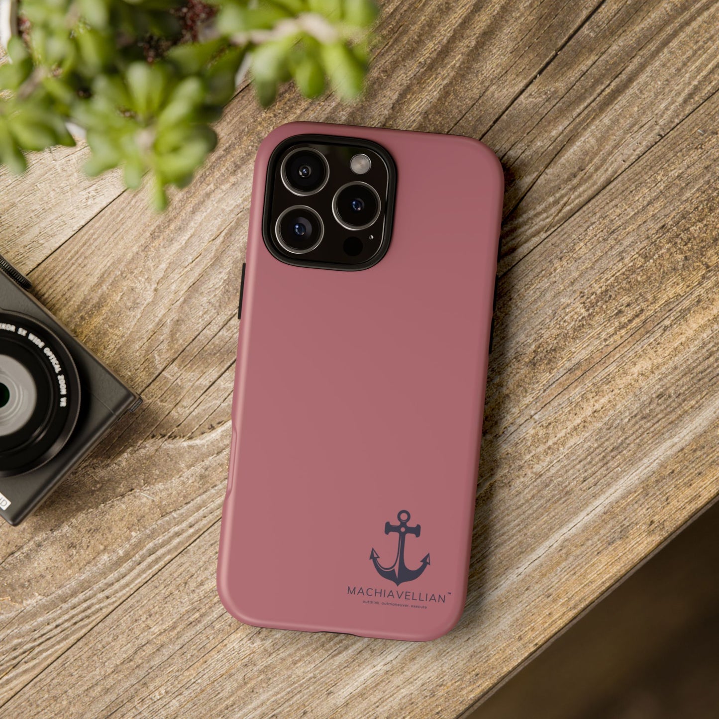 Salmon Anchor