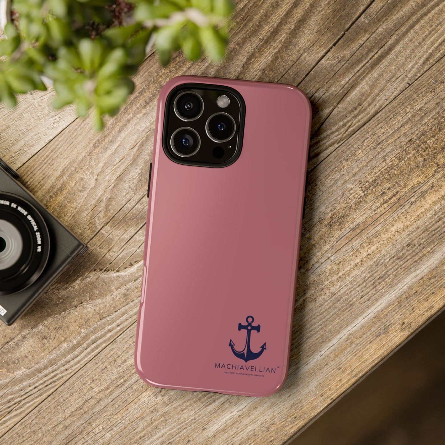 Salmon Anchor